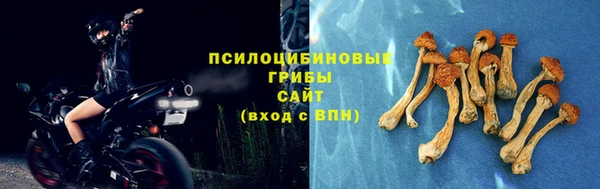 ПСИЛОЦИБИНОВЫЕ ГРИБЫ Армянск