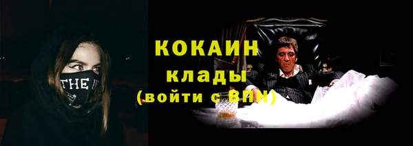 ПСИЛОЦИБИНОВЫЕ ГРИБЫ Армянск