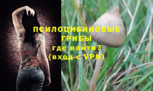 ALPHA PVP Аркадак