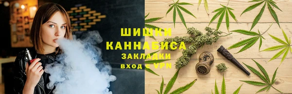 ПСИЛОЦИБИНОВЫЕ ГРИБЫ Армянск