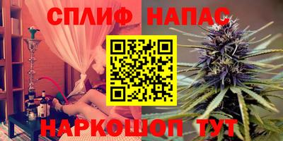 прущие грибы Кингисепп