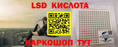 прущие грибы Кингисепп